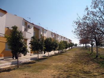 marinaleda3.jpg