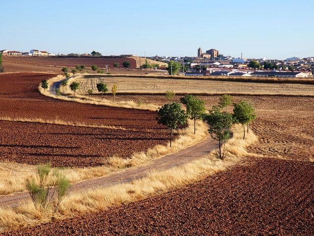 Dios debe llegar por otros caminos, el adviento que prepara la navidad