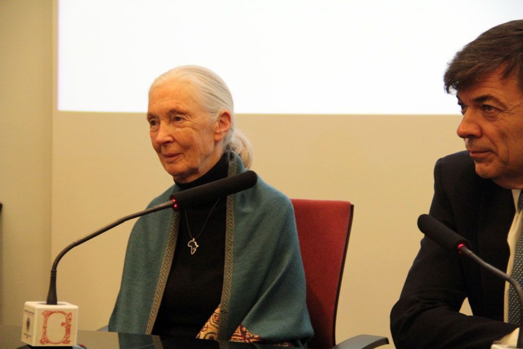 Jane Goodall responde a las preguntas de Alandar con una visión optimista.
