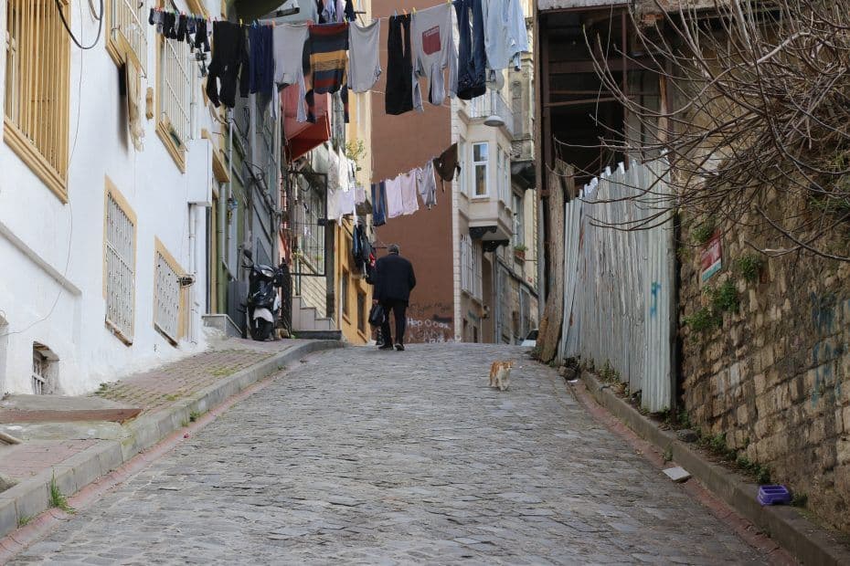 Foto: Şahin Sezer Dinçer en Unsplash