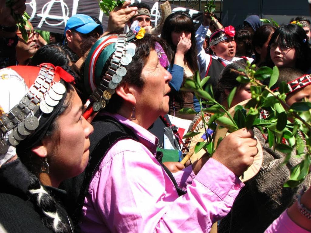 Marcha Mapuche. Foto: David Suazo